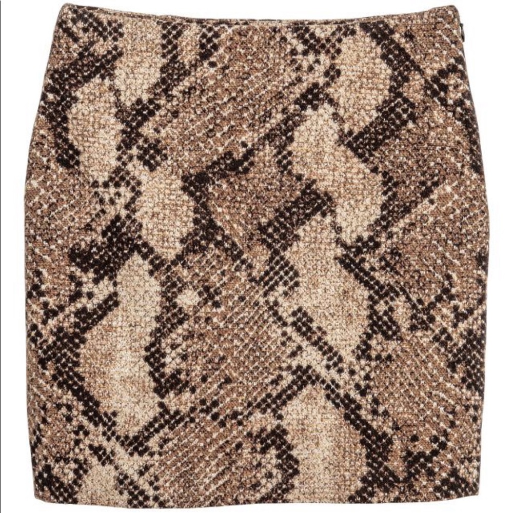 Snake Print Mini Skirt